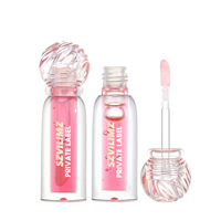 Lip Gloss Cair Pewarna Bibir Alami Vegan Tahan Lama Melembapkan Menghidrasi Label Pribadi Khusus Berkilau Tinggi dengan Vitamin E