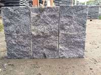 BOTON STONE Vente en gros de marches d'escalier en granit pour extérieur, surface polie, carreaux de sol en granit G655