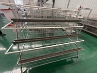 Cage à poules pondeuses fabriquée en usine, équipement avicole pour le marché mondial, système de production d'œufs à haute efficacité