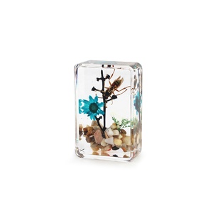 Reçine bahçe sahne kuru çiçek paperweight dekorasyon zanaat fabrika çin'den böcek örneği - Product Image 3