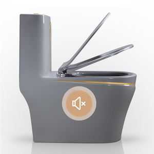 <span class=keywords><strong>WC</strong></span> Monoblocco in Ceramica di <span class=keywords><strong>Alta</strong></span> Qualità, Colore Perlato, Design Moderno e Lussuoso, Bianco e Oro, Confezione in Cartone, Modello a Due Pezzi <span class=keywords><strong>per</strong></span> Hotel - Product Image 5