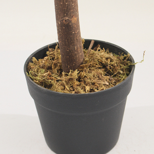 Jws3991albero artificiale del limone all'ingrosso potatura sintetica ornamentale limone frutteto decorazione paesaggio piante artificiali - Product Image 3