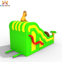 Le toboggan gonflable en PVC double voie le plus populaire, 0,55 mm, capacité 200 kg, installation facile, design personnalisable, garantie 3 ans