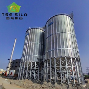 Oferta Especial: Silos de Acero Galvanizado TSE TCZK 870T con Fondo Cónico para Almacenamiento de Salvado de Arroz en Granjas Avícolas, Certificación ISO CE, Larga Duración - Product Image 4
