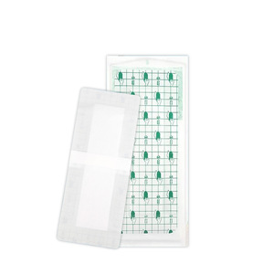 Parche Protector Impermeable Íntimo para Mujer, Parche Impermeable Íntimo para Baño de Aguas Termales, Parche Protector de Película de PU para - Product Image 1