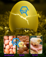 Incubateur d'oeufs de poule à taux d'éclosion élevé 528/880/1231 et machine à couver les oeufs d'éclosion