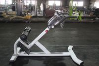 Chaise romaine en acier Freeman, la plus vendue, pour l'entraînement de force, équipement de gym à domicile, banc d'hyper-extension