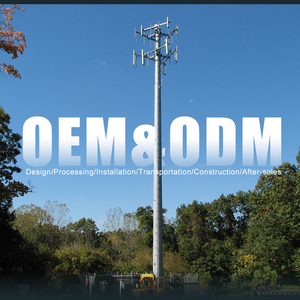 Heavy Duty Carbon Steel <span class=keywords><strong>Monopole</strong></span> Communication <span class=keywords><strong>Tower</strong></span> Hot Dip Galvanização Alta Capacidade de Carga para Telecomunicações Múltiplas - Product Image 4