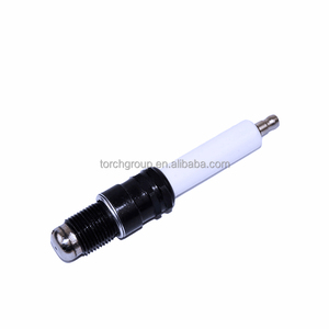 หัวเทียนเครื่องยนต์แก๊ส R6GC1-77 76 64 375 และ 76 64 416B หัวเทียนอุตสาหกรรม - Product Image 4