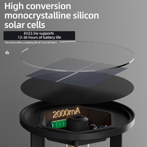 Lámpara <span class=keywords><strong>Solar</strong></span> de Poste LED de 30W, ABS, con Sensor de Luz, IP65 Impermeable, Alto Brillo, para Decoración de Jardín y Villa - Product Image 2