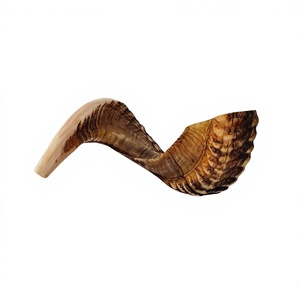 Corne de Shofar en matériau organique écologique, fabriquée sur mesure pour des usages religieux juifs, qualité supérieure - Product Image 1