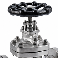 Válvula de Compuerta J41H CF8 Clase 300 de Acero Inoxidable 304 con Brida para Tuberías Industriales, Válvula de Control de Flujo con Sello de PTFE Virgen