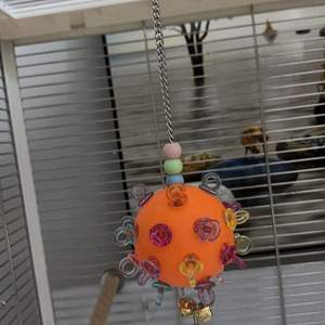 Interaktif komik kuş çiğnemek oyuncak asılı dayanıklı renkli Foraging plastik kuş oyuncak büyük kuşlar için afrika gri papağanlar - Product Image 3