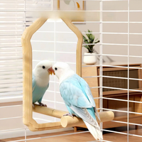 Perchoir interactif en bois pour petits perroquets, tout-en-un pour jouer et manger