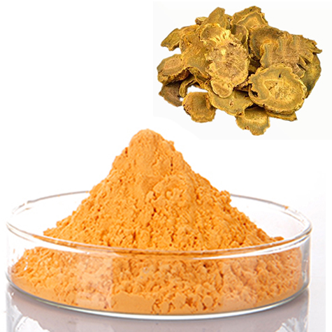 Giant Knotweed extract Emodin powder Polygonum Cuspidatum extract