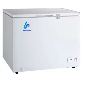 Commercial Energy Saving 200L 300L 400L 500L Top Golding Door Food Storage Chest Deep Freezer