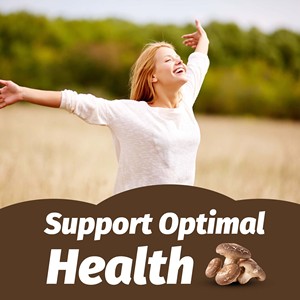 ODM OEM Mushroom Coffee with 10-Mushroom Extract Blend Support Optimal Health Immunity Wellbeing <b>Protein</b> Mushroom Coffee - Product Image 6