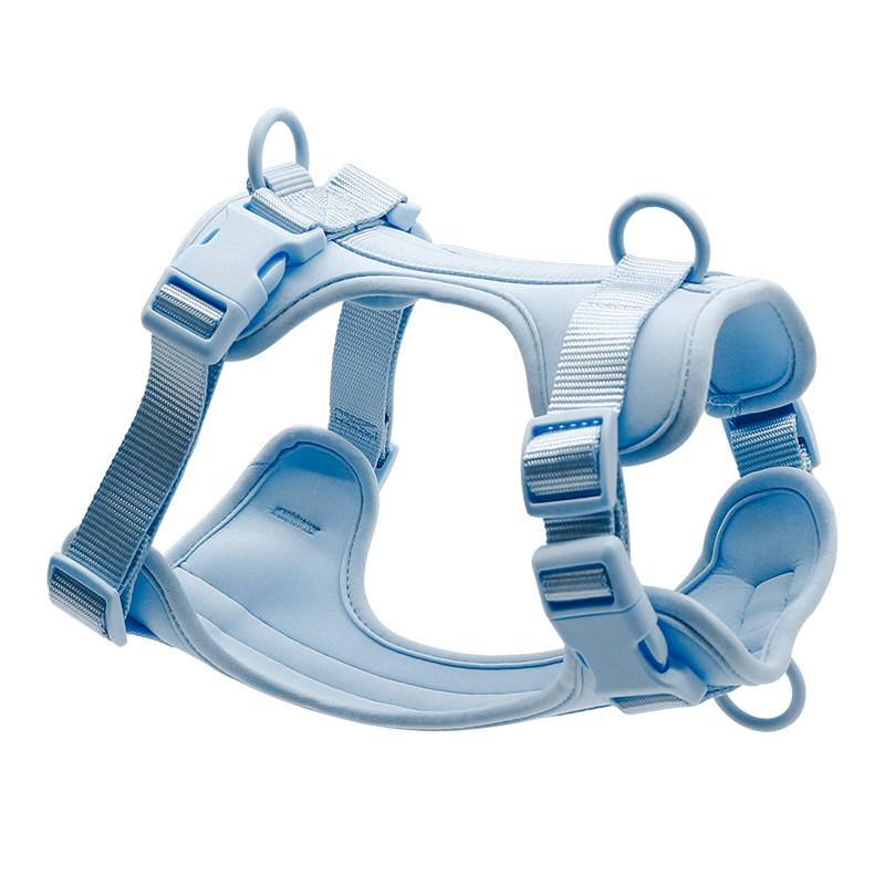 bleu clair
