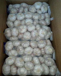 粉红大蒜红蒜中国新收获季节干蒜 - Product Image 5