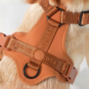 Fabricante de Coleiras para Cães, Novas Cores da Moda, Material de Tecido Sólido Acolchoado, Respirável e Ajustável, Coleira para Cães que Não Puxa - Product Image 1