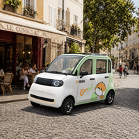 Voiture électrique quatre roues entièrement fermée de haute qualité pour la vente en gros, mini véhicule électrique à basse vitesse pour seniors et usage familial