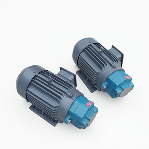 ชุดมอเตอร์ปั๊มเกียร์ เหล็กหล่อ 1.5KW 2.2KW 3KW ปั๊มน้ำมันหล่อลื่นเครื่องจักร - Product Image 1