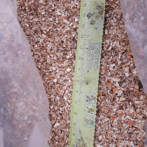 Polvo de cáscara de camarón seco, con la mejor calidad en 2020 - Product Image 1