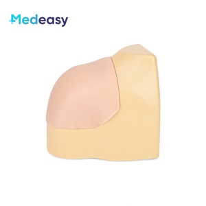 Simulador de Entrenamiento para Cirugía Artroscópica de Hombro Medeasy, Simulador de Entrenamiento para Artroscopia de Hombro con Cámara e Instrumentos - Product Image 3