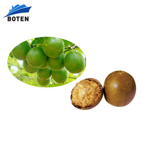 Édulcorant en gros en vrac à base de Siraitia Grosvenorii (<span class=keywords><strong>Lakanto</strong></span>) – Substitut de sucre à base de <span class=keywords><strong>fruit</strong></span> <span class=keywords><strong>du</strong></span> <span class=keywords><strong>moine</strong></span> - Product Image 1