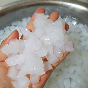 MATÉRIAU NATA DE COCO CRU/GELÉE DE NOIX DE COCO CRUE DE HAUTE QUALITÉ pour EXPORTATION/Mme Lily - Product Image 4