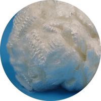 Fibre discontinue UHMWPE 1.7dtex*38MM, couleur blanche