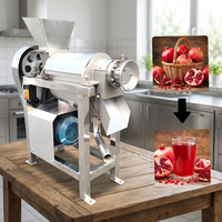 Machine à jus de grenade, presse à jus industrielle, extracteur de jus à froid pour oranges et citrons