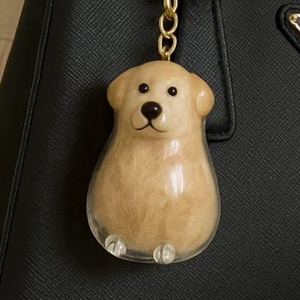 Llavero Transparente de Goma con Diseño de West Highland White Terrier, Mini Caja para Guardar Pelo de Mascota, Colgante Portátil para Bolsa, Regalo para Amantes de los Perros - Product Image 3