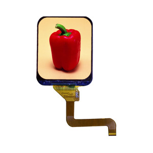 Nhà máy cung cấp TFT 240*280 pixel RGB Smartwatch <span class=keywords><strong>LCD</strong></span> hiển thị 1.69 inch - Product Image 3