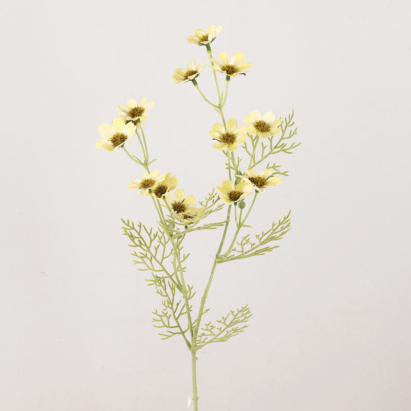 สีเหลือง