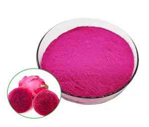 Commercio all'ingrosso 100% solubile in acqua organico fresco essiccato rosso rosa drago estratto di frutta in polvere drago rosso frutta in polvere