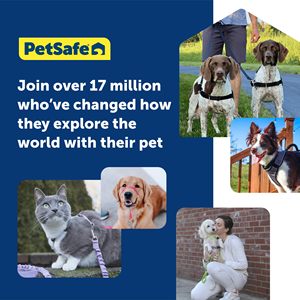 犬用ヒップホップハーネス - 引っ張らない散歩用フロントチェストリーシュアタッチメント - 快適ストラップ - 通気性のあるハーネスデザイン - Product Image 4