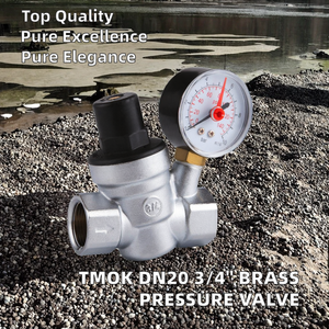 Válvula Reguladora de Presión de Agua Manual de Latón Plateado DN20 de 3/4 Pulgadas para RV con Manómetro Ajustable - Product Image 2