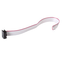 Faisceau de câblage à ruban plat de câble en PVC FFC de longueur personnalisée Eurorack pour synthétiseur modulaire motos conducteur en cuivre PBT
