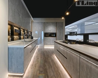 Armoires de cuisine super fortes et brillantes Rangement multifonctionnel Nouveau accessoirisé Évier Charnière Tiroir Glissière Robinet Dosseret