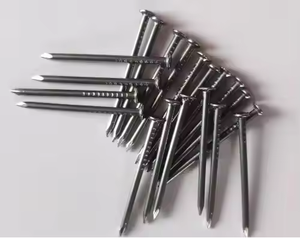 OEM ODM Hot Dip Galvanized Iron Steel Coil Nails Smooth Shank Umbrella Head for Roofing Wood Construction Applications India - Product Image 6