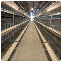 Poulailler entièrement automatique pour poules pondeuses, ferme avicole d'Afrique du Sud, poulailler galvanisé