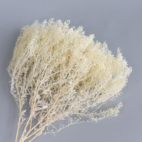 Groothandel Gedroogde Eeuwige Bloemen Echte Gedroogde Bloemboeket Mini Vaas Decoratie Mini Fan voor Huis Kantoor Bureau Feest Cadeau