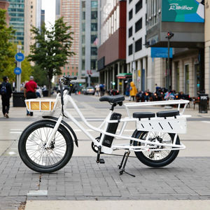 Bicicletta Elettrica Win <span class=keywords><strong>Rider</strong></span> OEM/ODM con Motore 48V 500W, Telaio in Lega di Alluminio, 7 Velocità, Dotata di Seggiolino per Bambini o Cuscino, Modello Long-tail - Product Image 5