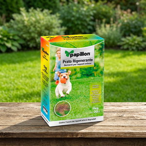 Semillas de Césped para Replantación 1 Kg. - Product Image 3