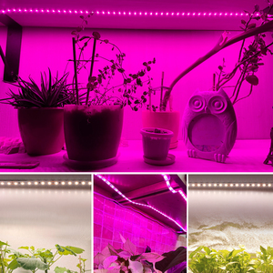 Fita de Luz <span class=keywords><strong>LED</strong></span> para Plantas, Espectro Completo, USB, Luz Simulada para Crescimento de Plantas, Luz Suplementar para Mudas Verdes - Product Image 4