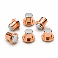 Fournisseur de rivets de contact bimétalliques électriques, relais à rivets, rivets de contact en argent