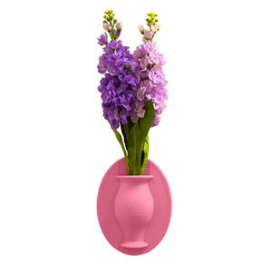 Vente chaude Silicone Fleur Vase Titulaire Mur Monté <span class=keywords><strong>Plante</strong></span> Vase Pot Titulaire Collant <span class=keywords><strong>accrocher</strong></span> Vase - Product Image 5