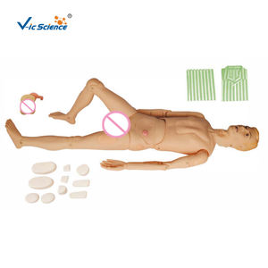 Modèle de <span class=keywords><strong>formation</strong></span> de base combiné pour les soignants mannequin de simulateur médical fournitures médicales mannequin de <span class=keywords><strong>formation</strong></span> d'infirmière - Product Image 2
