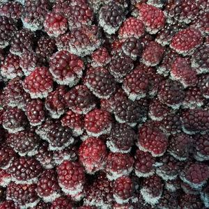 Produk Buah Beku IQF Grosir, Harga Buah Blackberry Beku - Product Image 1